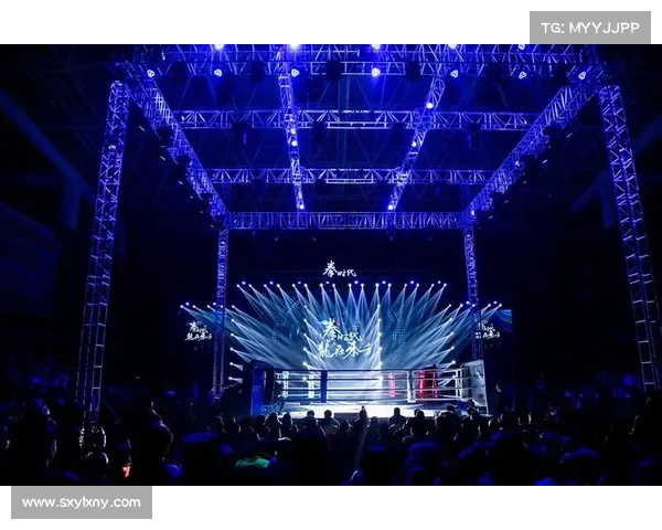 2017年赛事 2017年赛事