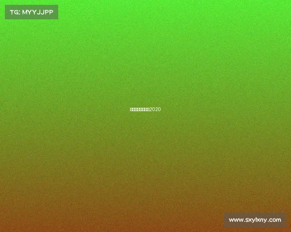 短道速滑视频比赛2020